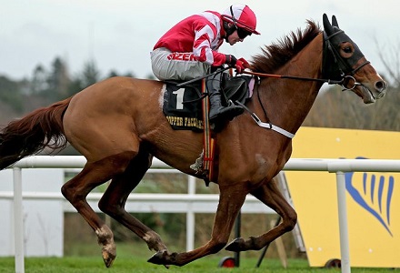 Cheltenham Festival diary: Acapella steals show
