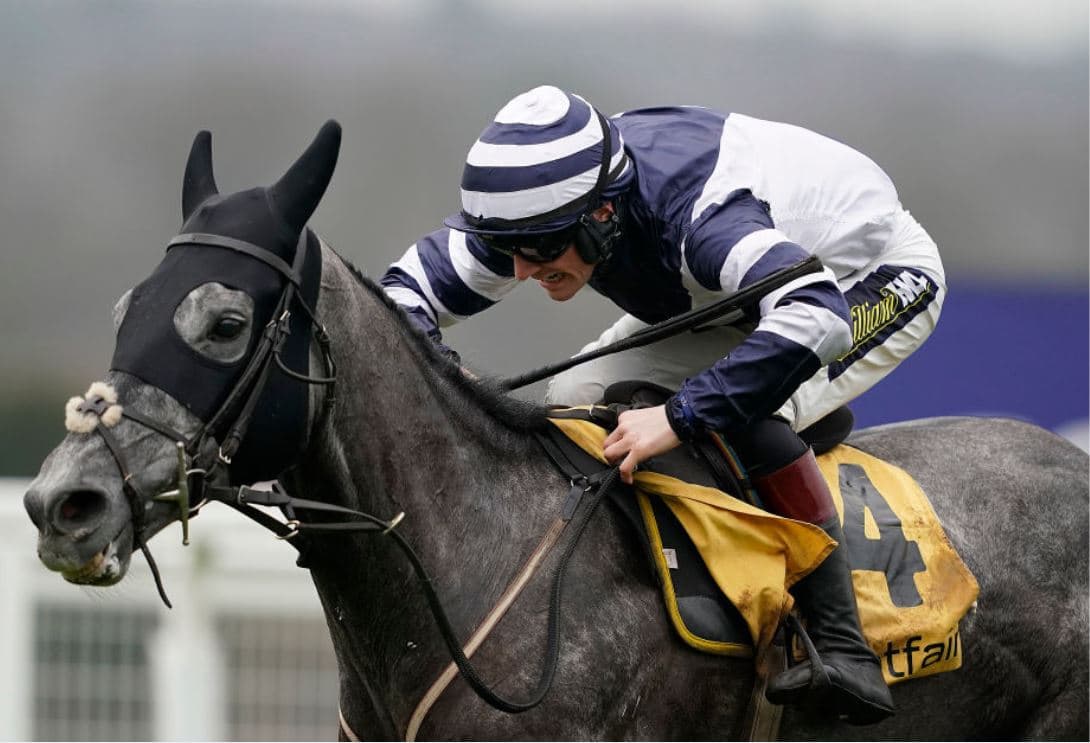 Five most backed Cheltenham horses over the weekend