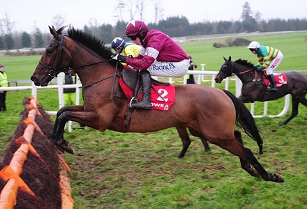 Who's being backed big for success at Cheltenham Festival?