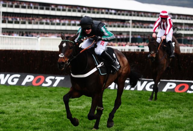 Surge of bets on Altior to win Cheltenham Gold Cup 