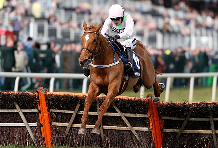 Cheltenham Festival: Top Owner looks a tough ask for Ricci 