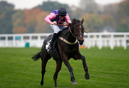 Five horses to follow this weekend