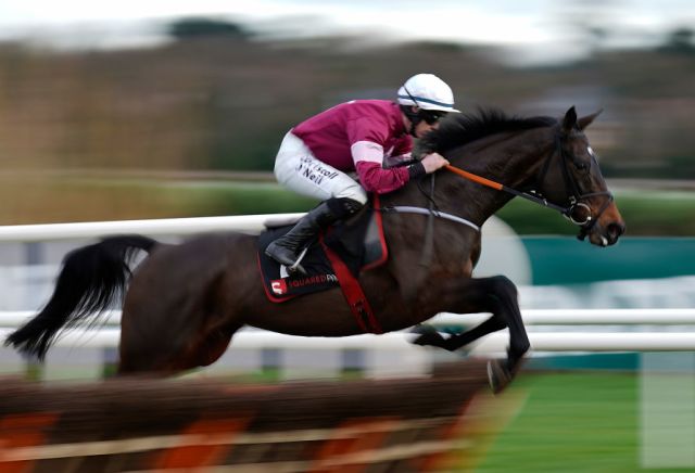 Bookies slash Apple's Jade to odds-on for Mares' Hurdle after Christmas Hurdle win