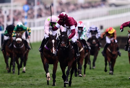 Mares' Hurdle: Apple's Jade - Banker or Blowout?