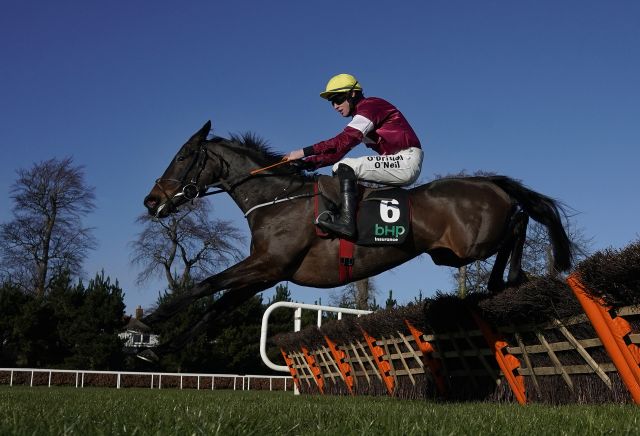 Ante-post wipe-out: Connections' Apple's Jade comments spell bad news for swathes of punters