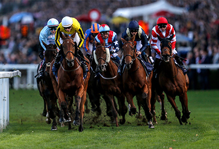 UK Horse Racing Tips: Ascot