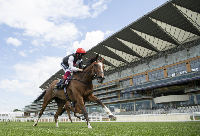 Frankly Darling cut from 10/1 into 3/1 for the Oaks
