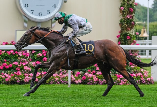The best bookmaker offers for Royal Ascot day four