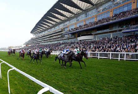 The three most backed horses on day four of Royal Ascot