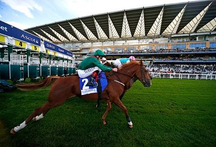 Andy Holding's Saturday Racing Tips