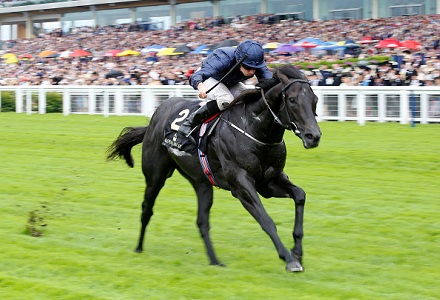 Caravaggio all the rage for Commonwealth Cup