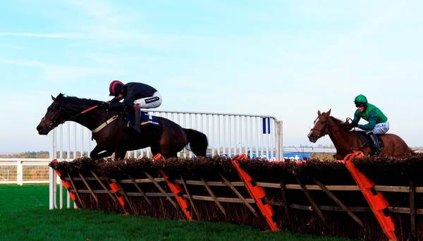 Money Horse: Saturday's Most Backed Horse