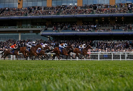Andy Holding's Royal Ascot Saturday Racing Tips