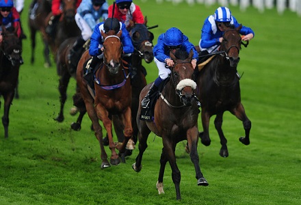 Nick Luck: Traveller the way to go at Ascot