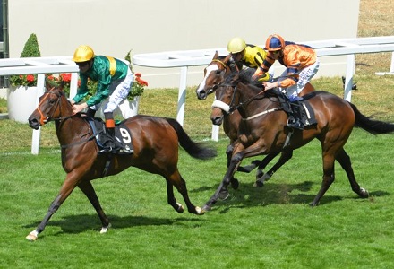 A view from the rails: Ashadihan a shrewd Lingfield bet