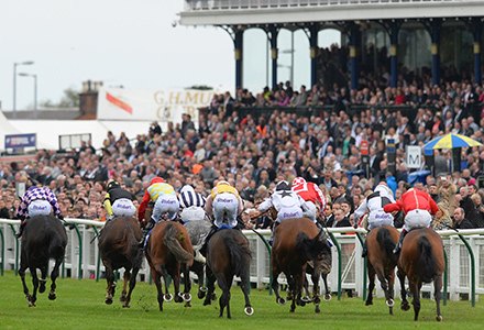 UK Horse Racing Tips: Ayr