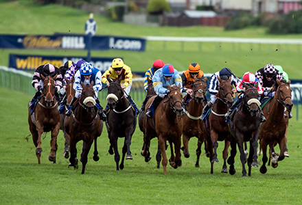 UK Horse Racing Tips: Ayr