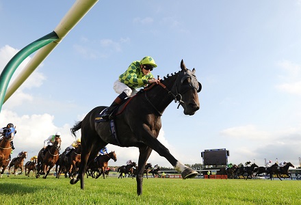 Money Horse: Monday's Most Backed Horse