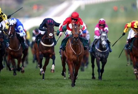 Supreme Novices' Hurdle Betting Tips & Preview