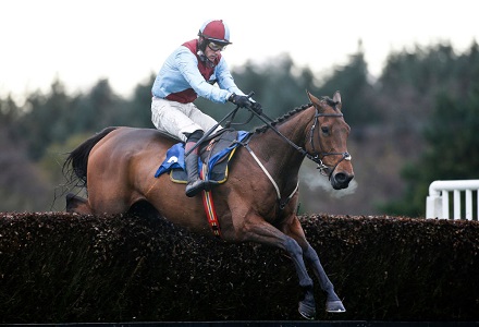 Ballyoptic new favourite for National Hunt Chase at Cheltenham