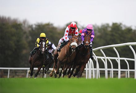 Andy Holding's Monday Racing Tips