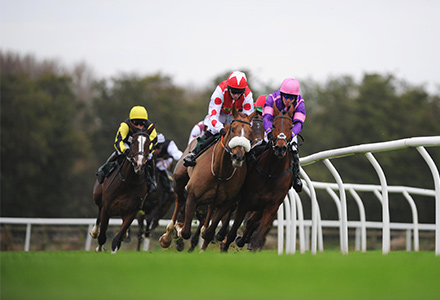 UK Horse Racing Tips: Bangor