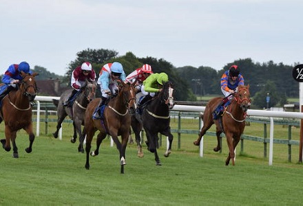 Andy Holding's Sunday Racing Tips