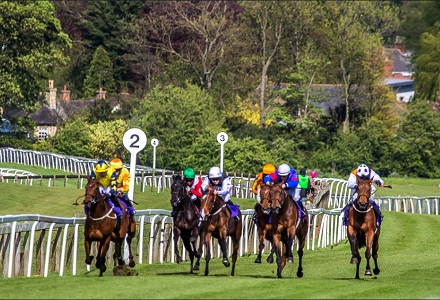 Money Horse: Wednesday's Most Backed Horse