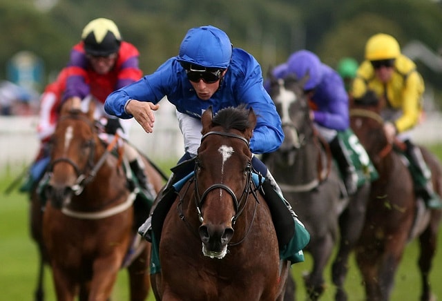 A View From The Rails: Bluepoint worthy favourite for Middle Park