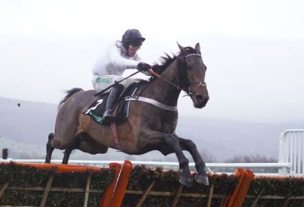 Odds tumble on Brain Power making amends in Champion Hurdle