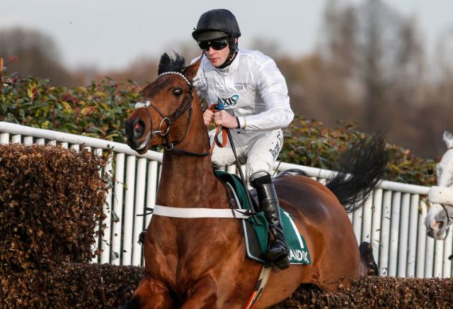 Brain Power cut for Arkle after Kempton performance