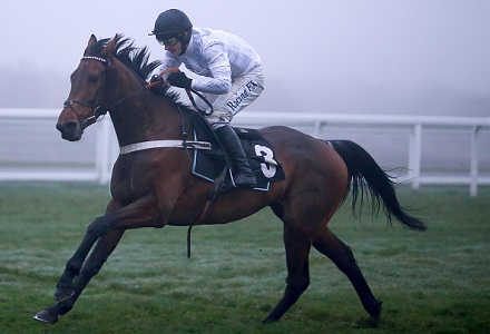 Cheltenham Festival Diary: Brain the clever County bet