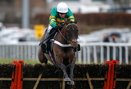 Champion Hurdle: Buveur D'air - Banker or Blowout?
