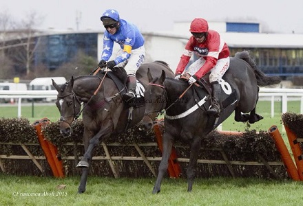 Nicky Henderson's Champion Challenger is the talk of Cheltenham