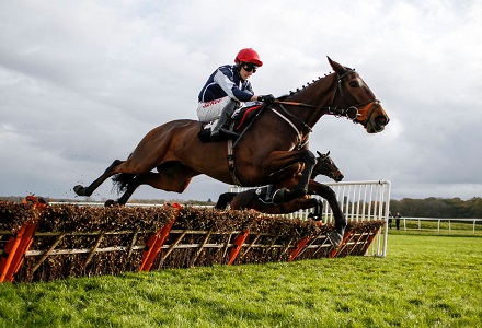 Money Horse: Sunday's Most Backed Horse