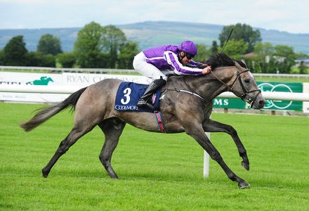 Derby Update: Capri all the rage following going change
