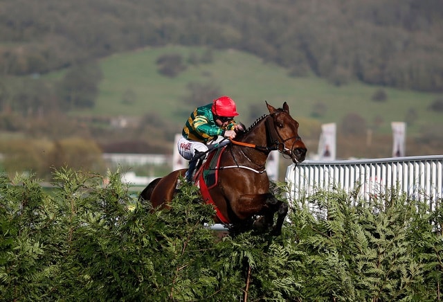 Cause Of Causes cut for Grand National after Cheltenham success