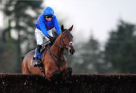 Tuesday's Money Horse through oddschecker