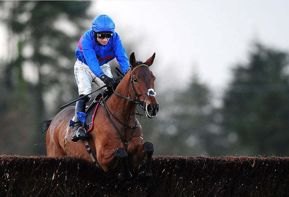 Tuesday's Money Horse through oddschecker Oddschecker