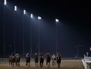UK Horse Racing Tips: Chelmsford City