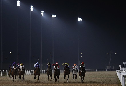 Money Horse: Thursday's Most Backed Horse