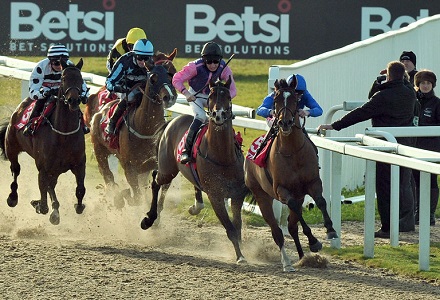 Money Horse: Thursday's Most Backed Horse