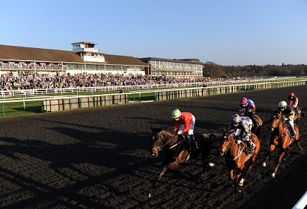 Money Horse: Sunday's Most Backed Horse