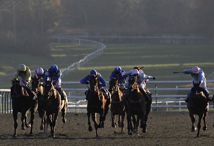 Money Horse: Monday's Most Backed Horse