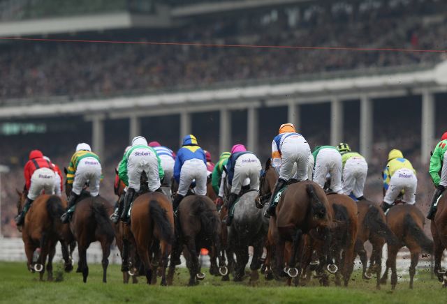 Panic Attack into 8/1 from 50/1 for Champion Bumper after debut win