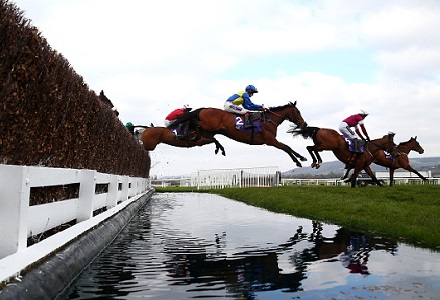 Cheltenham Festival winning jockeys predict punters paradise next month