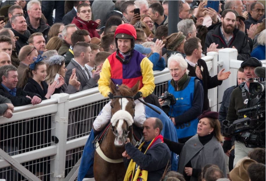 1 in 5 chance that Cheltenham is cancelled, say bookies