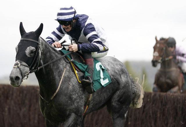 Al Dancer cut from 33/1 to 12/1 for 2020 Cheltenham Arkle Chase