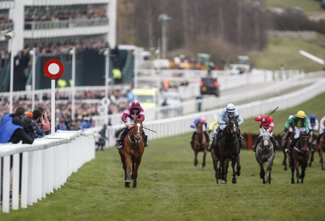 Andy Holding's Ballymore Novices' Hurdle Preview