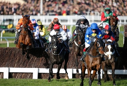Money Horse: Friday's Most Backed Horse